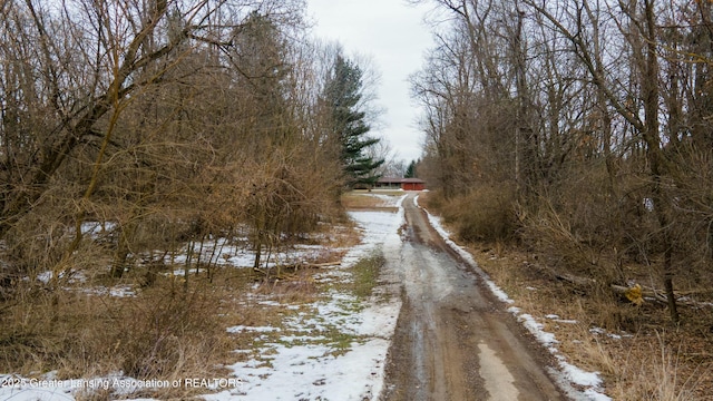 view of street with dirt driveway