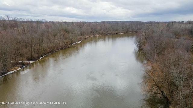 bird's eye view featuring a water view and a view of trees