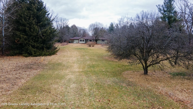 view of yard featuring driveway