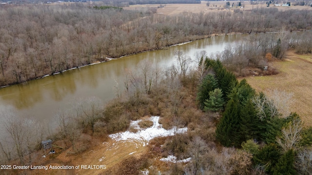 drone / aerial view with a water view and a view of trees