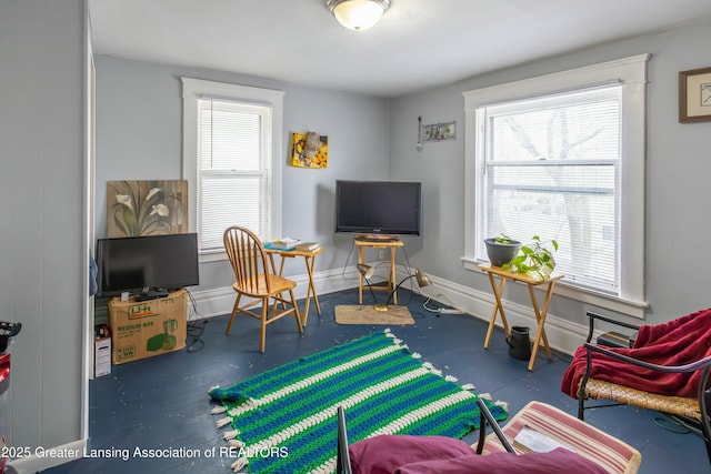 living area featuring plenty of natural light and baseboards