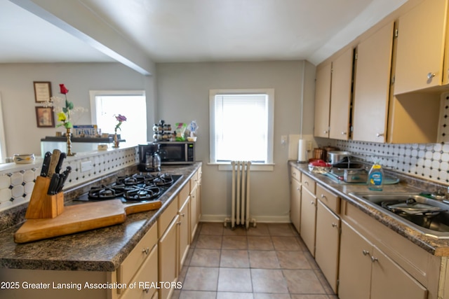 kitchen with a sink, stainless steel microwave, plenty of natural light, gas stovetop, and radiator