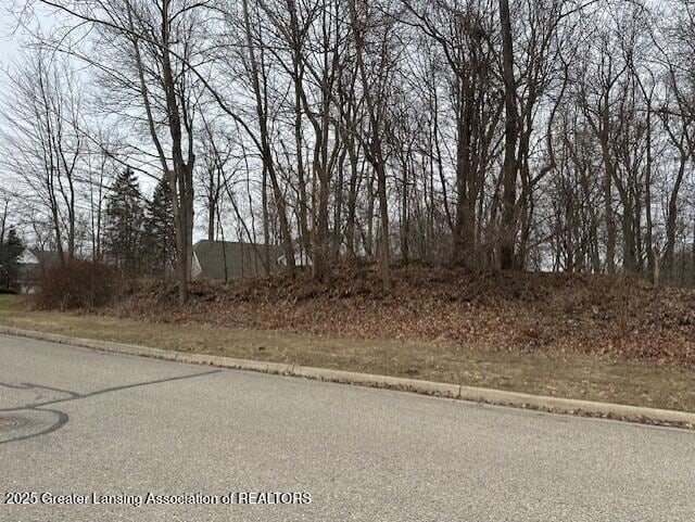 6285 Heathfield Dr, East Lansing MI, 48823 land for sale