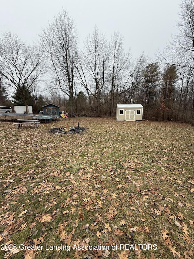 view of yard with an outbuilding and a storage shed