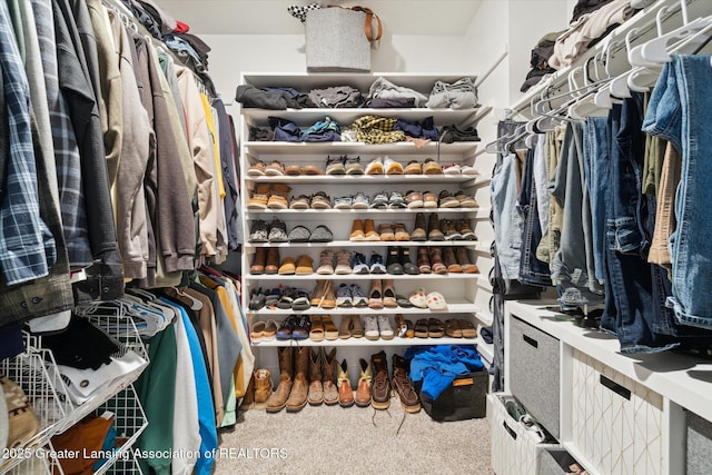 view of walk in closet