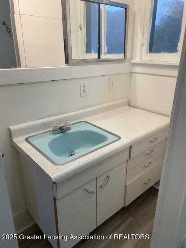 bathroom with wood finished floors and vanity