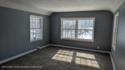 carpeted empty room with lofted ceiling, a healthy amount of sunlight, and a textured ceiling