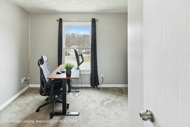 office area featuring carpet flooring, baseboards, and a textured ceiling