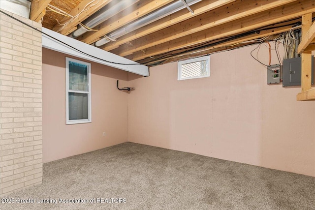 below grade area featuring electric panel and carpet floors