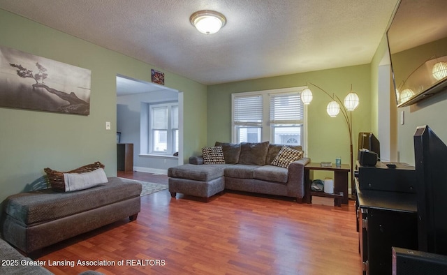 living room featuring wood finished floors, baseboards, and a textured ceiling