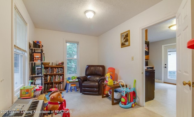 playroom with carpet flooring and a textured ceiling