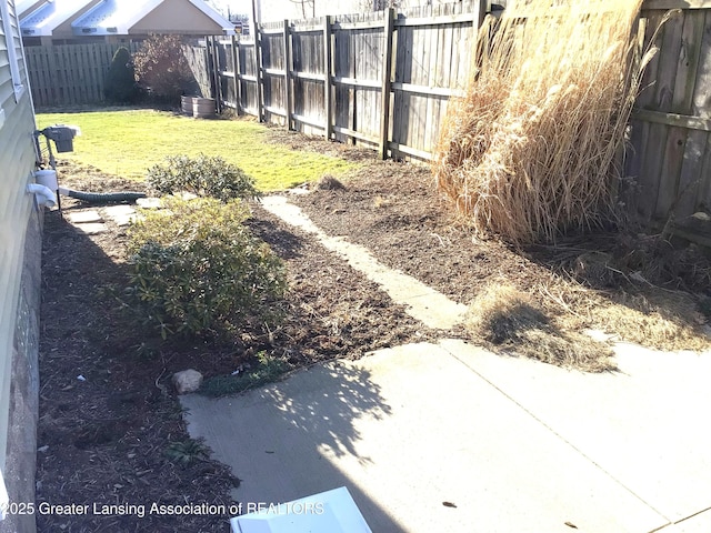 view of yard with a patio area and a fenced backyard