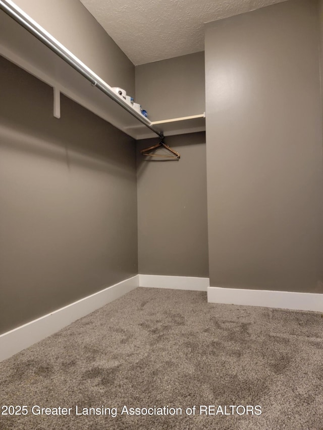 spacious closet with carpet floors