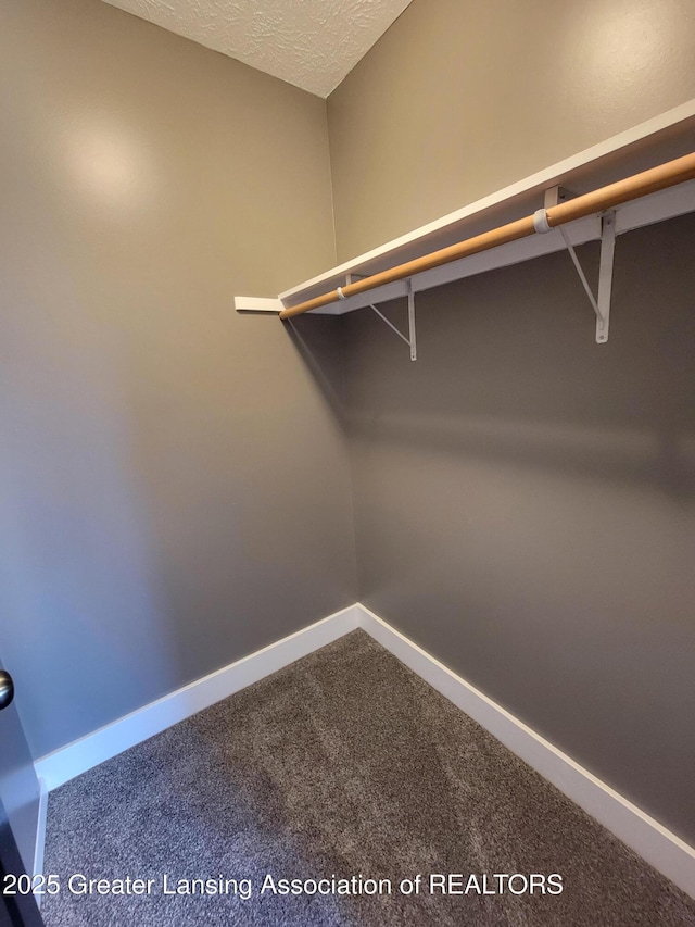 spacious closet featuring carpet floors