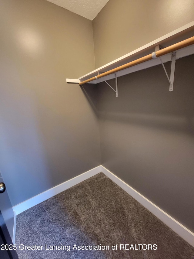 spacious closet featuring carpet flooring