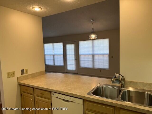 kitchen with a sink, light countertops, a textured ceiling, dishwasher, and a wealth of natural light