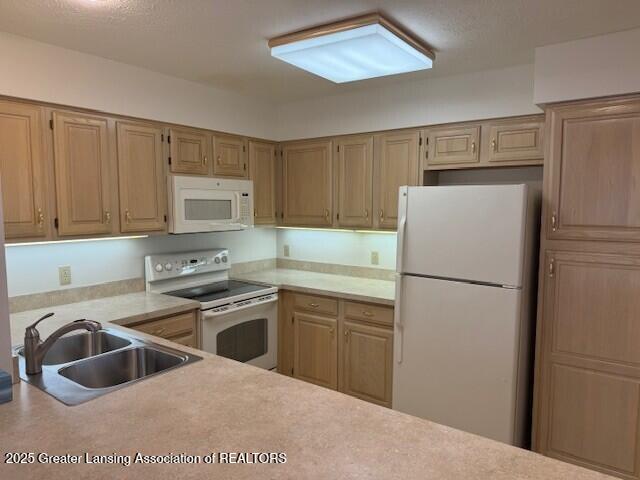 kitchen featuring white appliances, light countertops, and a sink