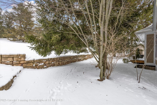 view of snowy yard