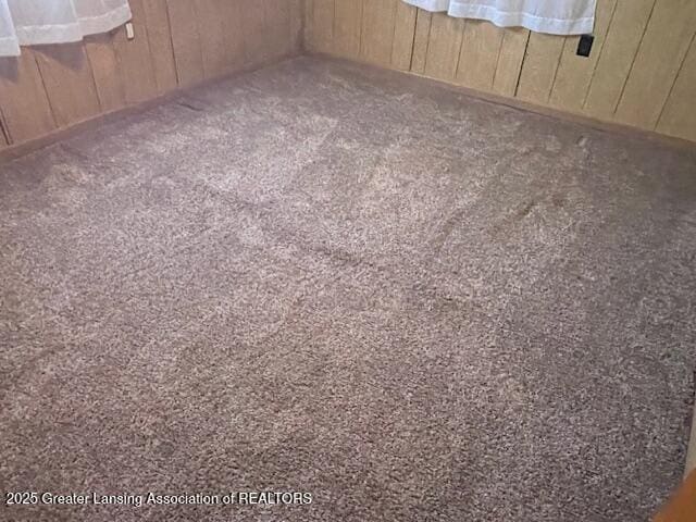 interior details featuring carpet flooring and wooden walls