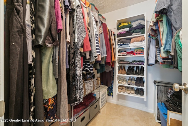 walk in closet featuring carpet flooring