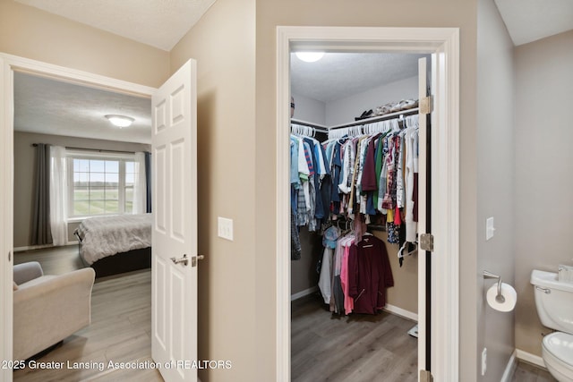 ensuite bathroom featuring a spacious closet, connected bathroom, baseboards, toilet, and wood finished floors