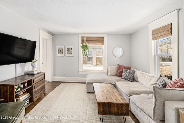 living area featuring baseboards and dark wood-type flooring