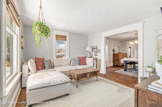 living room featuring wood finished floors