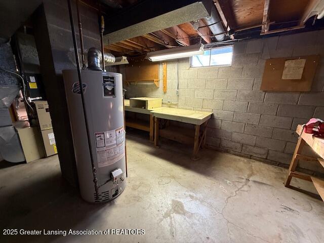 basement featuring gas water heater