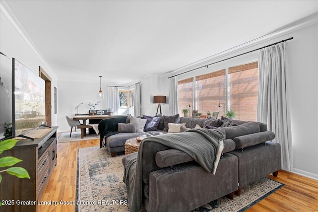 living area featuring baseboards, light wood-style floors, and crown molding