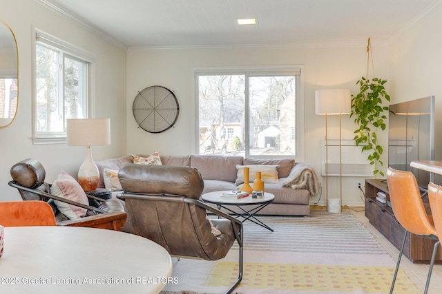 living area with crown molding