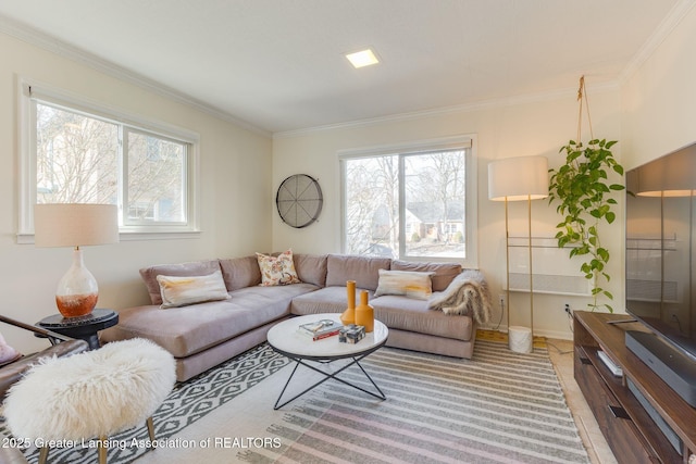 living room featuring crown molding