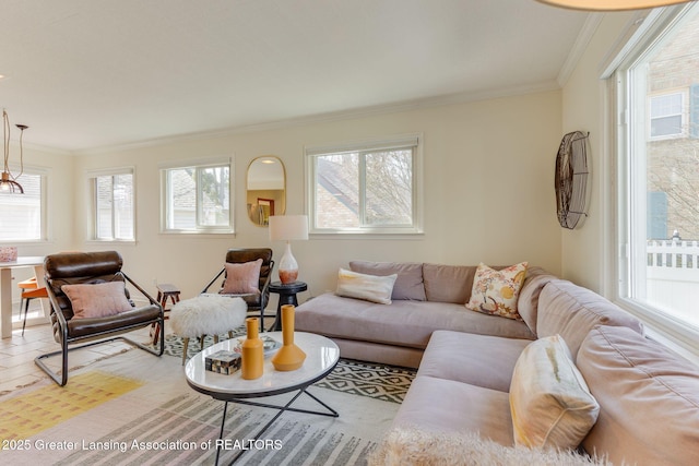 living area featuring a healthy amount of sunlight and ornamental molding