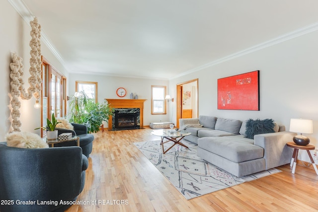 living room featuring ornamental molding, a fireplace, and wood finished floors