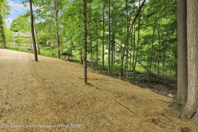 3427 W Broadmoor Dr, Lansing, MI 48906 - view of yard