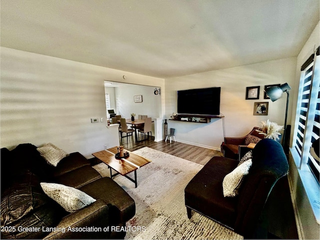 living area featuring wood finished floors