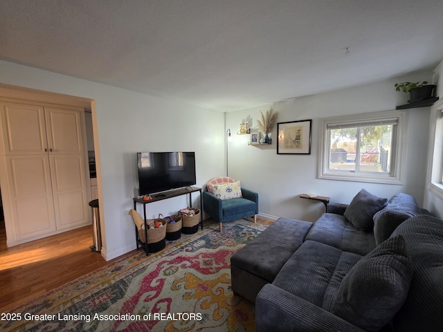 living room with baseboards and wood finished floors