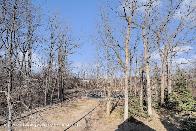 view of yard with a forest view