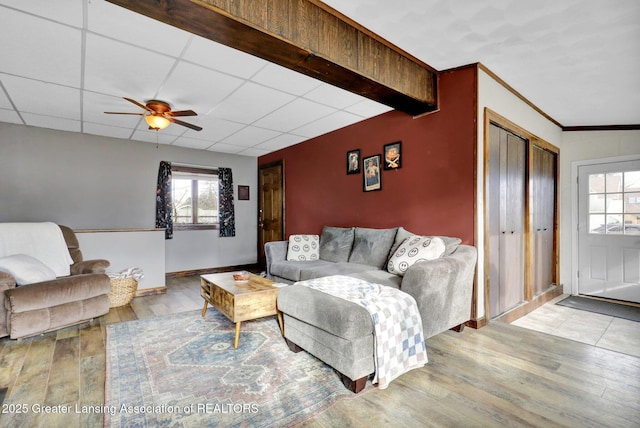 living room with plenty of natural light, a paneled ceiling, ceiling fan, and wood finished floors