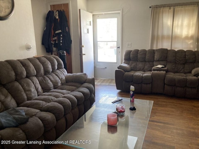 living area featuring wood finished floors