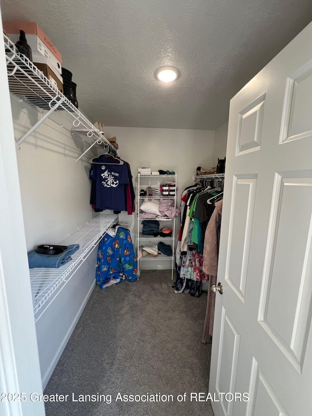 walk in closet with carpet floors