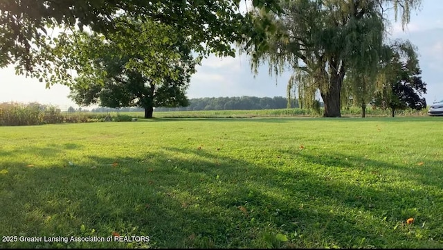 view of yard featuring a rural view