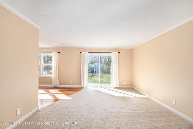 spare room featuring baseboards, carpet floors, and crown molding