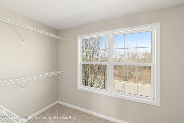 view of spacious closet