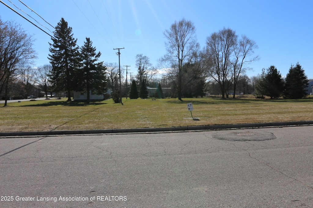 view of road featuring curbs