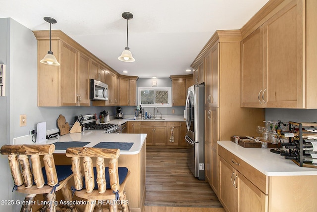 kitchen with light countertops, a peninsula, wood finished floors, stainless steel appliances, and a sink