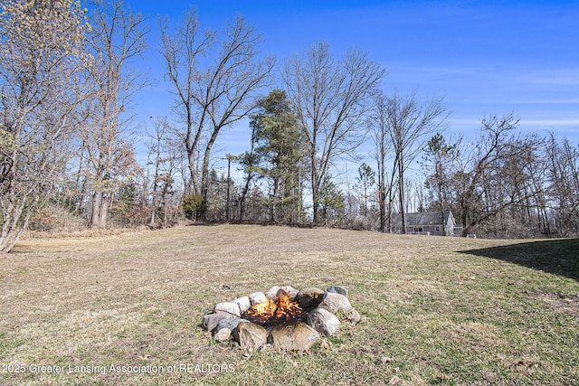 view of yard with an outdoor fire pit