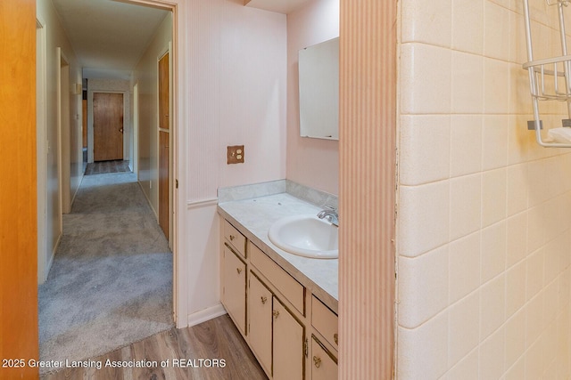 bathroom featuring wood finished floors and vanity