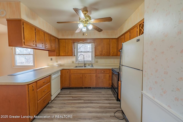 kitchen with a sink, wallpapered walls, white appliances, light countertops, and ceiling fan