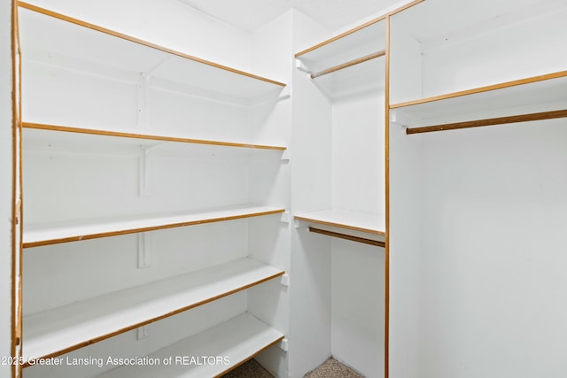 view of walk in closet