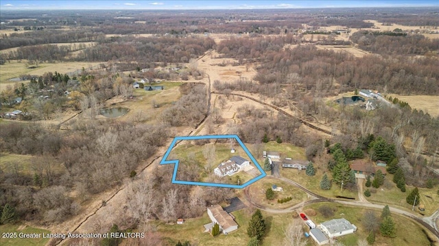 13305 Nelson, Bath, MI 48808 - drone / aerial view